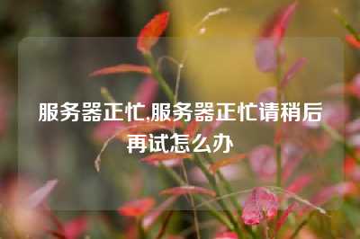 服务器正忙,服务器正忙请稍后再试怎么办