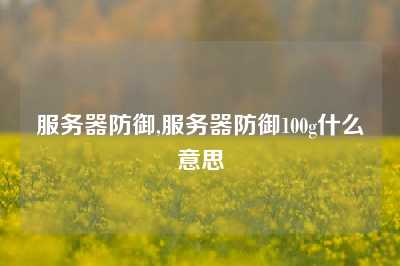 服务器防御,服务器防御100g什么意思