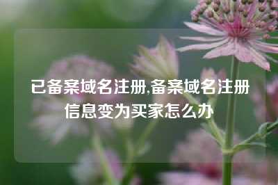 已备案域名注册,备案域名注册信息变为买家怎么办