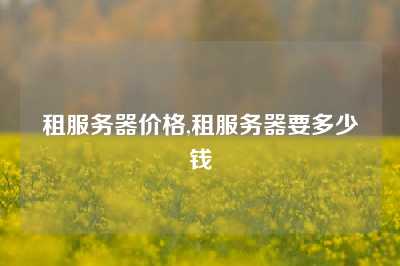 租服务器价格,租服务器要多少钱