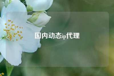 国内动态ip代理