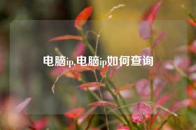 电脑ip,电脑ip如何查询