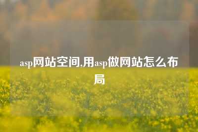 asp网站空间,用asp做网站怎么布局