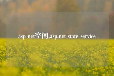 asp net空间,asp.net state service