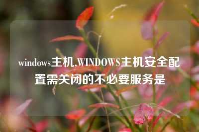 windows主机,WINDOWS主机安全配置需关闭的不必要服务是