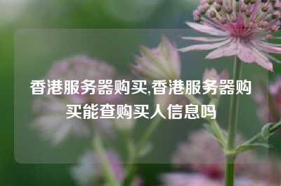 香港服务器购买,香港服务器购买能查购买人信息吗