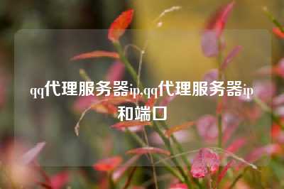 qq代理服务器ip,qq代理服务器ip和端口