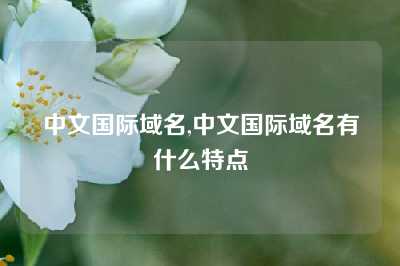 中文国际域名,中文国际域名有什么特点