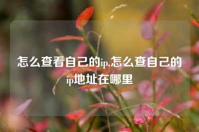 怎么查看自己的ip,怎么查自己的ip地址在哪里