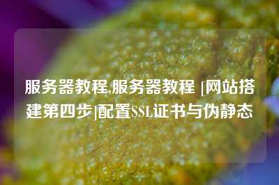 服务器教程,服务器教程 [网站搭建第四步]配置SSL证书与伪静态