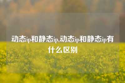 动态ip和静态ip,动态ip和静态ip有什么区别