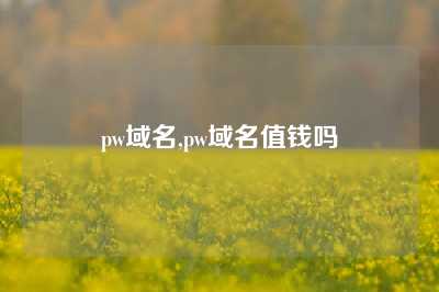 pw域名,pw域名值钱吗