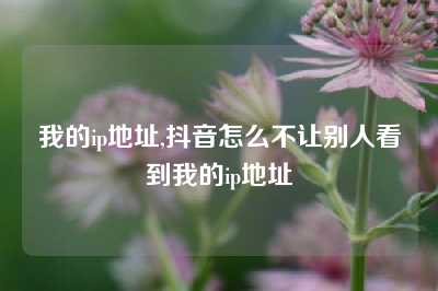 我的ip地址,抖音怎么不让别人看到我的ip地址