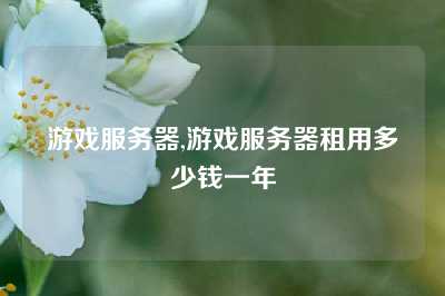 游戏服务器,游戏服务器租用多少钱一年