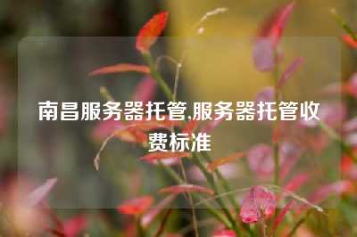 南昌服务器托管,服务器托管收费标准