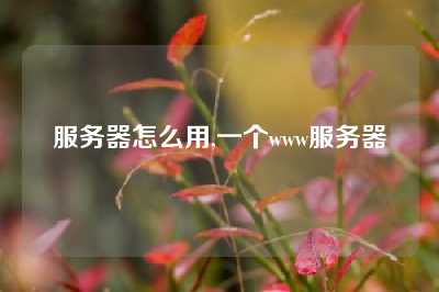 服务器怎么用,一个www服务器