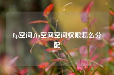 ftp空间,ftp空间空间权限怎么分配