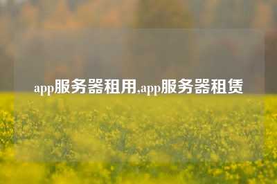 app服务器租用,app服务器租赁