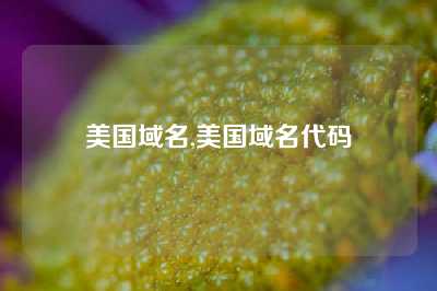 美国域名,美国域名代码