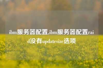 ibm服务器配置,ibm服务器配置raid没有updatesize选项