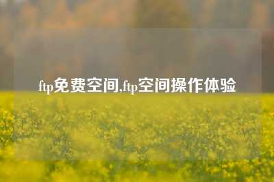 ftp免费空间,ftp空间操作体验