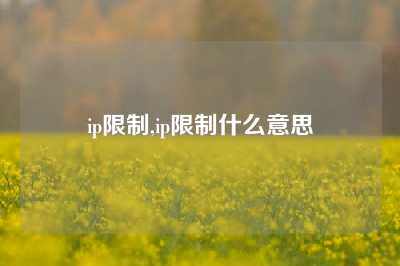 ip限制,ip限制什么意思