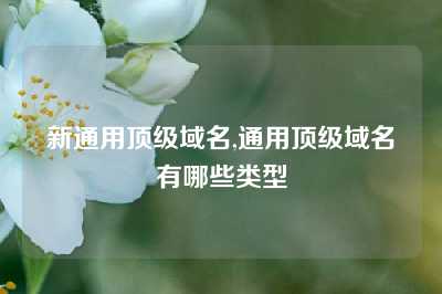新通用顶级域名,通用顶级域名有哪些类型
