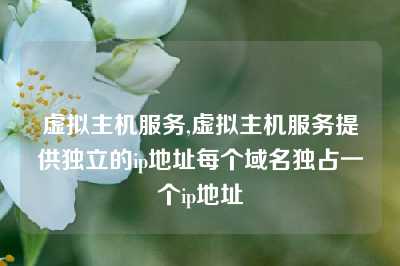 虚拟主机服务,虚拟主机服务提供独立的ip地址每个域名独占一个ip地址