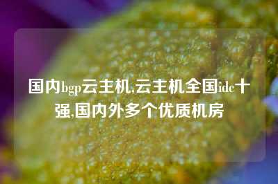 国内bgp云主机,云主机全国idc十强,国内外多个优质机房