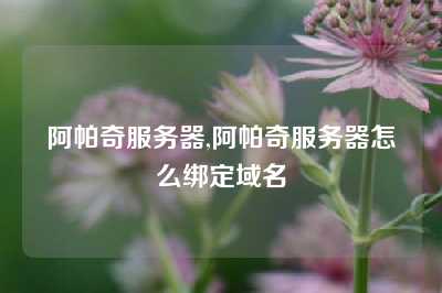 阿帕奇服务器,阿帕奇服务器怎么绑定域名