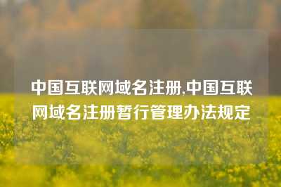 中国互联网域名注册,中国互联网域名注册暂行管理办法规定