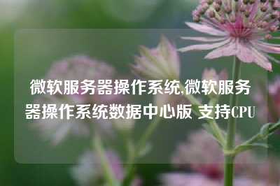 微软服务器操作系统,微软服务器操作系统数据中心版 支持CPU