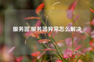 服务器,服务器异常怎么解决