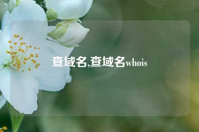 查域名,查域名whois