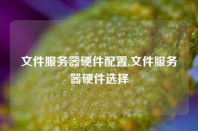 文件服务器硬件配置,文件服务器硬件选择