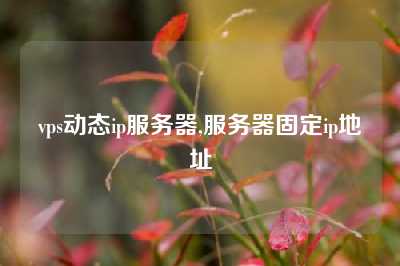 vps动态ip服务器,服务器固定ip地址