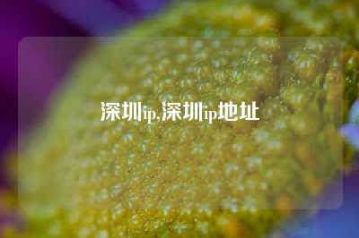 深圳ip,深圳ip地址