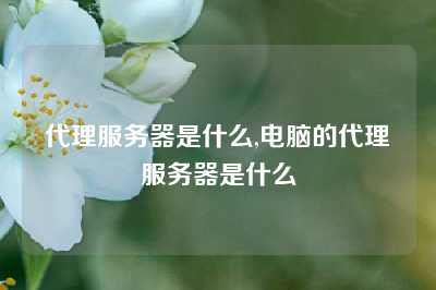 代理服务器是什么,电脑的代理服务器是什么