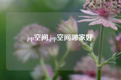jsp空间,jsp空间哪家好