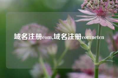 域名注册com,域名注册comnetcn