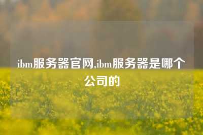 ibm服务器官网,ibm服务器是哪个公司的