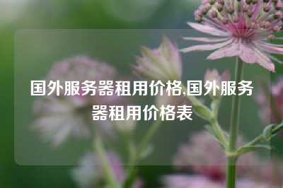 国外服务器租用价格,国外服务器租用价格表