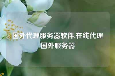 国外代理服务器软件,在线代理国外服务器