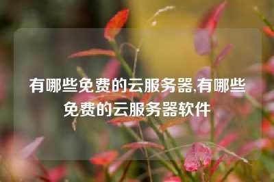 有哪些免费的云服务器,有哪些免费的云服务器软件