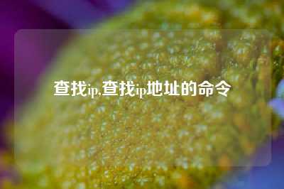 查找ip,查找ip地址的命令