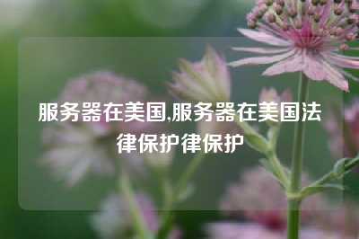 服务器在美国,服务器在美国法律保护律保护