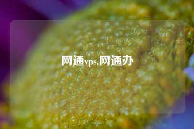 网通vps,网通办