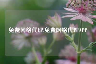 免费网络代理,免费网络代理APP