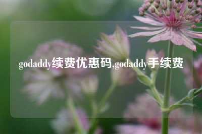 godaddy续费优惠码,godaddy手续费