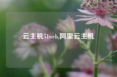 云主机51web,阿里云主机